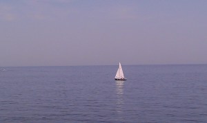 mind-body connection