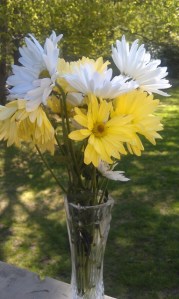 Daisies-no regrets (383x640)