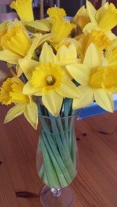 ?????????????????????